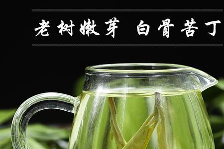 苦丁茶大叶好还是小叶好