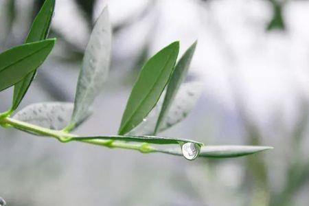 泪沾袍袖衣襟尽湿是什么描写