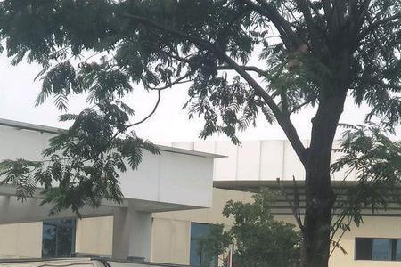 昆山新至升塑胶电子厂怎么样
