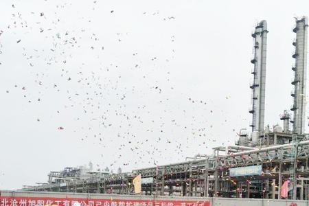 沧州旭阳化工有限公司是国企吗