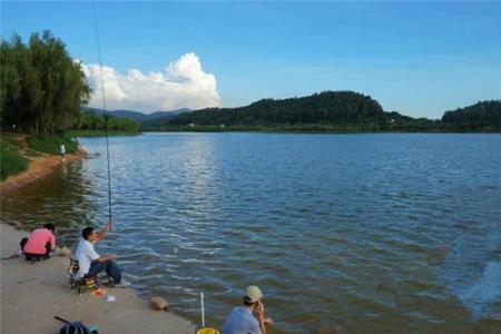珠山湖最佳钓鱼位置