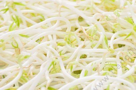 没有壳的绿豆能发豆芽吗