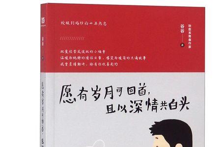 有岁月可回首什么意思