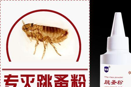 超声波驱跳蚤有用吗