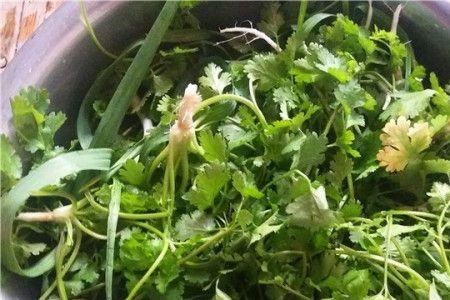 香菜不切整根腌怎么腌