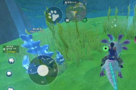 创造与魔法乌龟进化路线