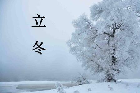 收到立冬红包怎么回复