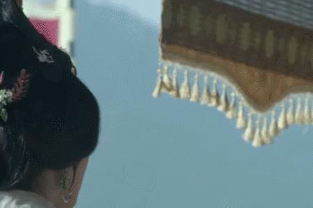琅琊榜景琰给静妃祝寿