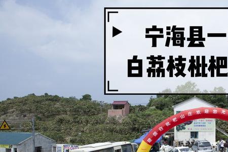 宁海白枇杷生产技术规程