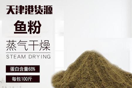 干酵母怎么喂鸟