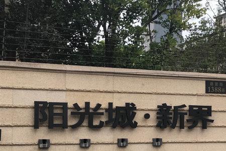 阳光城是什么概念股