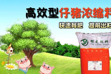 猪饲料化验哪些项目