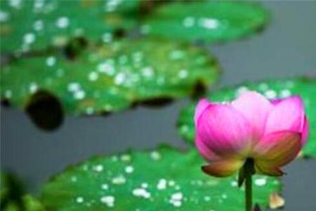 孟加拉的梅雨季节是什么时候