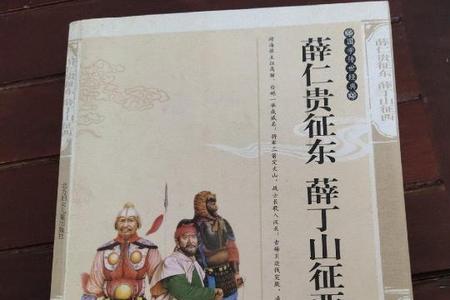 薛仁贵最后一次征东