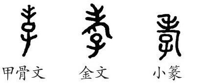 孝字的演变