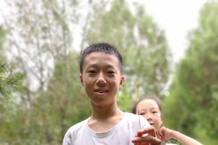 侄子和侄女统称