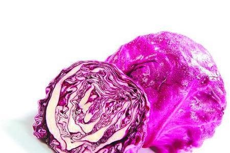 紫叶菠菜是不是转基因菜