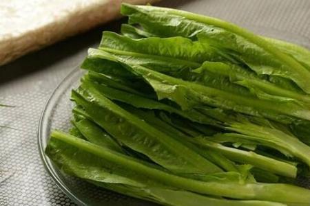 油麦菜含糖高吗