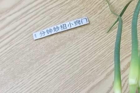 蒜薹有结果实吗