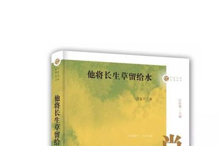 永远的校园作者