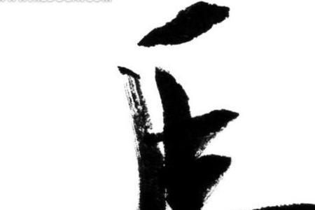 姓马的人多吗