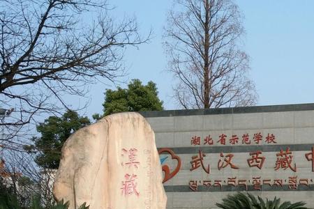 武汉中学占地面积