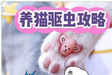怎么给猫咪驱铁线虫