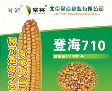 登海682玉米种审定公告