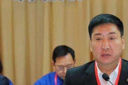 中实集团实力有多强