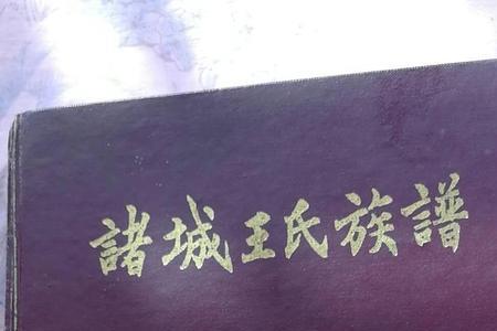 山东王姓有几支