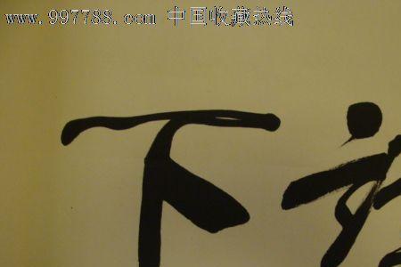 什么动物读书破万卷