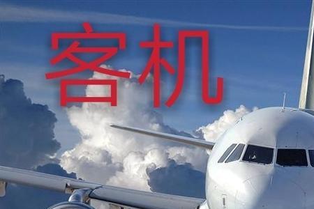 笨笨鸟什么意思