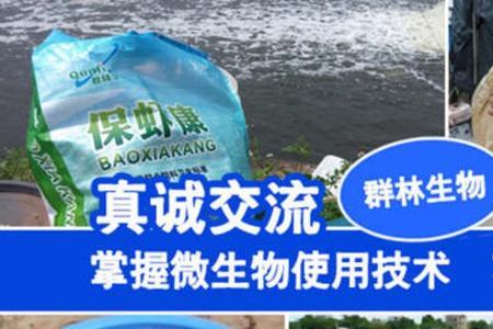反硝化细菌的作用是什么