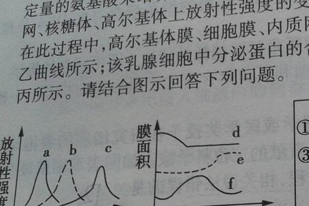 高尔基体为什么有核苷酸