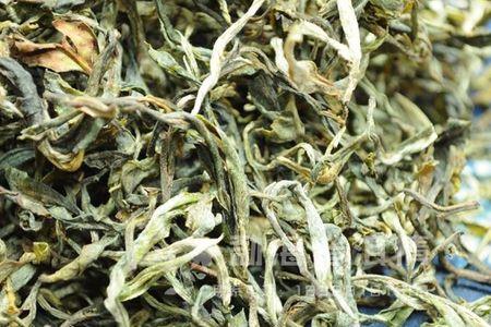 青毛茶属于什么茶