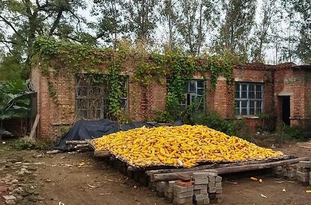 农村院子算不算宅基地