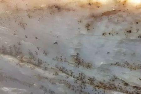染色山料能收藏吗