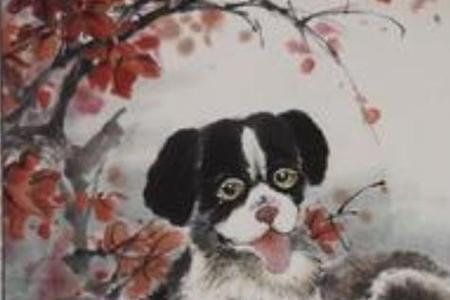 凶少吉多的意思
