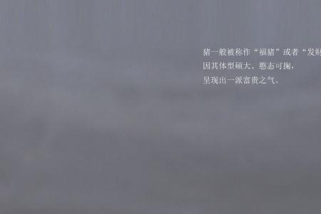 大嘴福猪是什么
