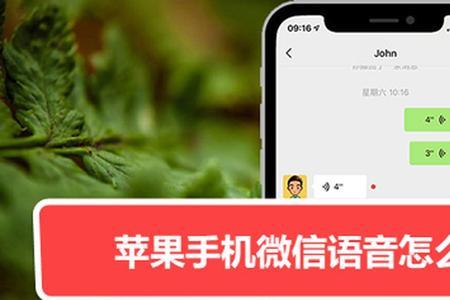 苹果11手机语音输入失灵怎么解决
