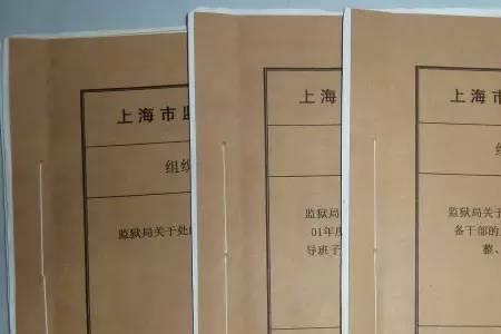 属于实物档案的有