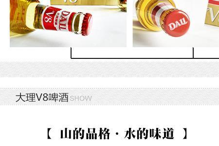 大理啤酒v8和v9的区别