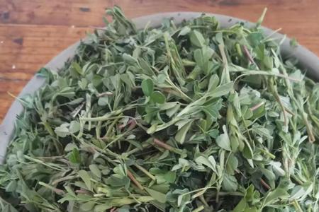 和苜蓿菜类似的菜