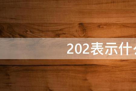 第十人称的网络寓意