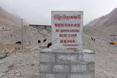 海拔50米标志