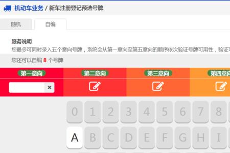 车牌号格式怎么输入
