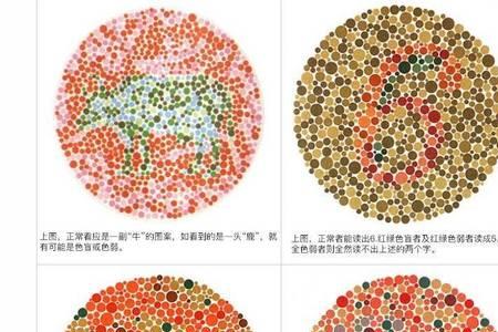 绿色弱戴什么色偏光镜好