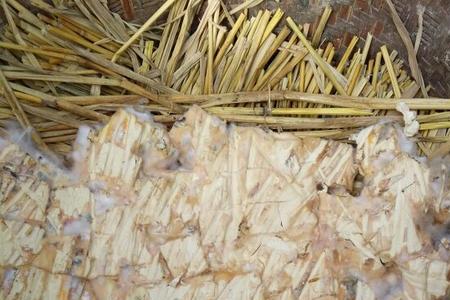 豆腐发霉能吃吗