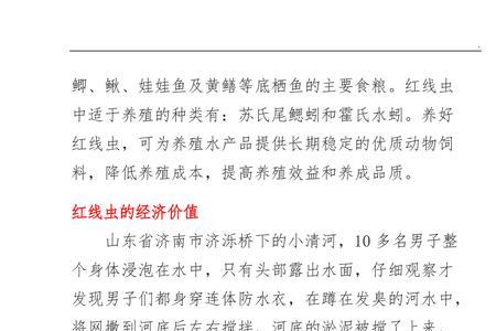 红丝虫养殖成本