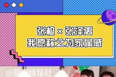 极禹cp名是什么